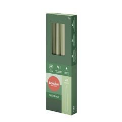 Koonusküünlad h-24,5cm 4tk FRESH OLIVE